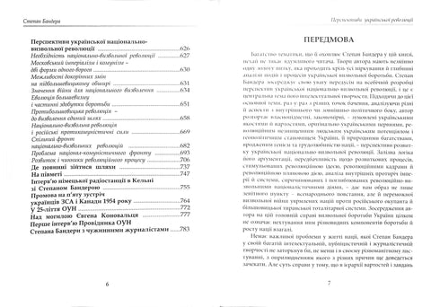 Perspektiven der ukrainischen Revolution